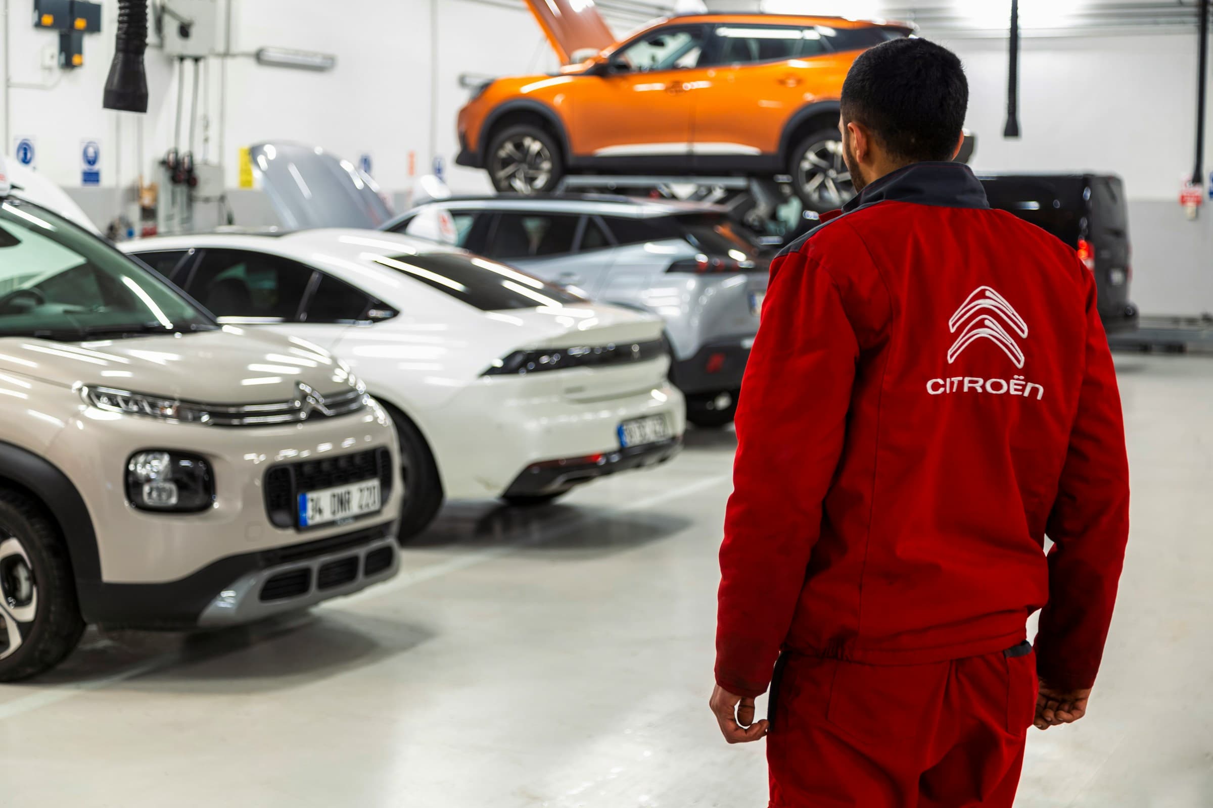 Mechanic inspecting vehicle service history